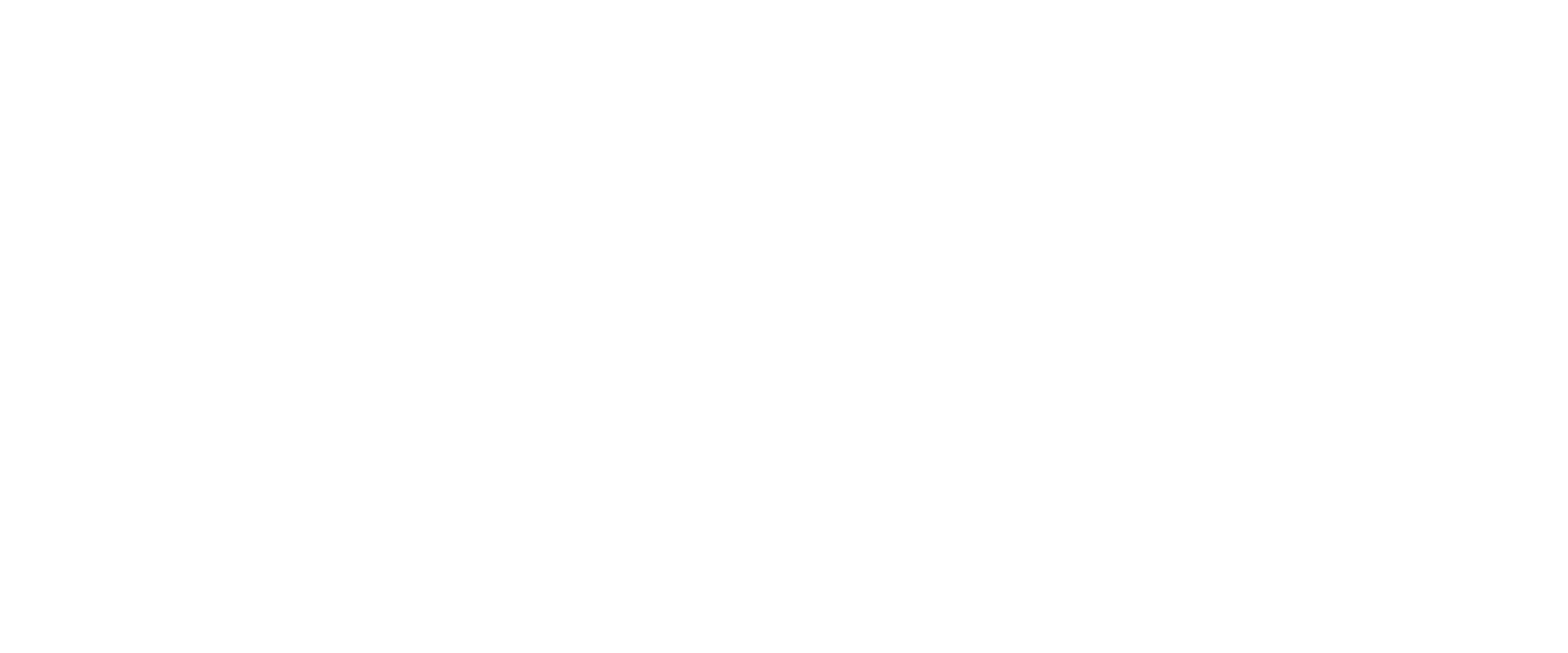 Hammer Plunge Logo